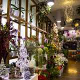 Il locale � completamente invaso da colori e profumi che creano un�atmosfera vivace e allegra